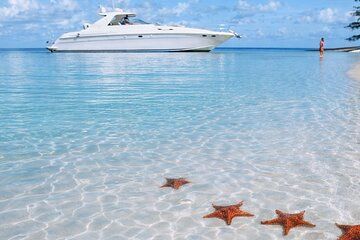 Ultra Luxury Stingray City Starfish Point Experience Grand Cayman