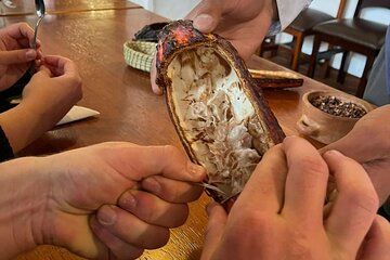 Mindo Full Day from Quito