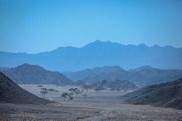 Marsa Alam Full Day Hike: Shagra Secluded Trails & Views