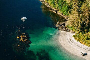 Sitka: Islands of Wonder Wildlife Boat Adventure (4 hours)
