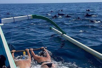 Bali Dolphin Lovina Watching, Swimming and Snorkeling Tour