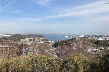 Discover Williams Adams in Hemi of Miura peninsula