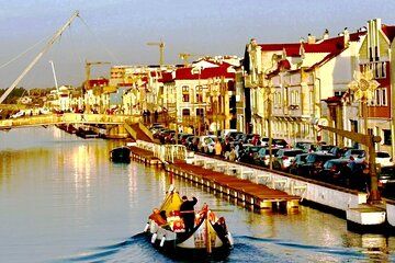 Private Full Day Aveiro Tour from Porto