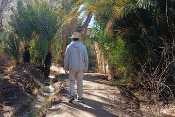 Skoura Oasis Walking Tour and Homemade Meal with a Local Family