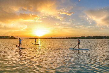 Guided Sunset Paddle boarding Adventure in Jupiter