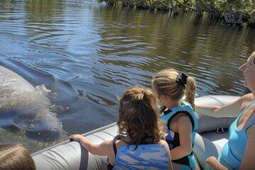 Dolphin and Manatee Boat Tour from Cocoa Beach and Port Canaveral