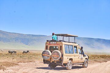 7 Day Wildlife Cultural Safari in Tara Serengeti and Ngorongoro
