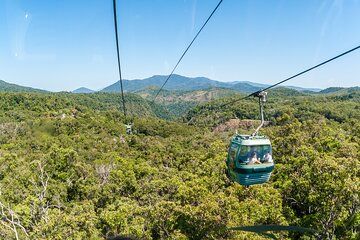 Private Shore Tour: Kuranda Rainforest &Skyrail from Port Douglas