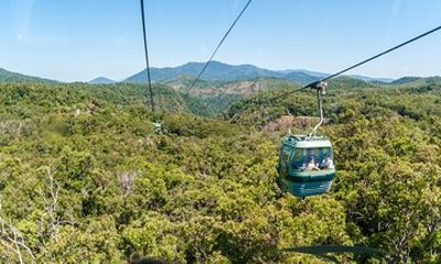 Private Shore Tour: Kuranda Rainforest &Skyrail from Port Douglas