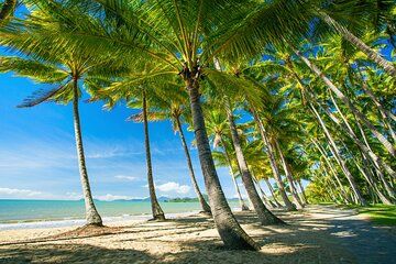 Private Shore Tour: Kuranda Village & Palm Cove from Port Douglas