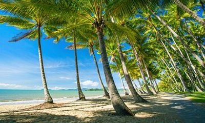 Private Shore Tour: Kuranda Village & Palm Cove from Port Douglas