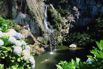 Waterfall Wonders Journey Full Day Tour With Lunch