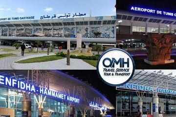 Tunis transfer by private vehicle comfortable and secure