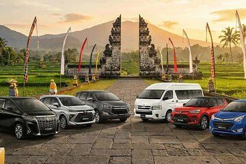 Private Bali Tour Shore Excursion Cruise Ship from Benoa Port