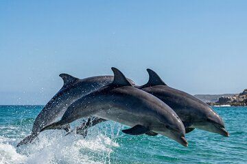 Shared Fiji Experience Rakiraki Tour by Land and Sea
