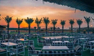 Dubai Desert Safari with BBQ Dinner and Live Shows Meeting Point