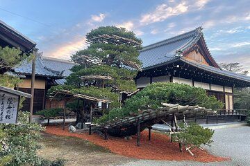 Kyoto World Heritage Tour with Professional Bilingual Guides