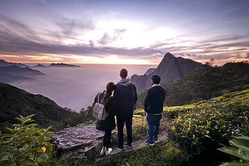 Munnar 2 Day Private Tour Tea Plantation and Kolukkumalai Sunrise