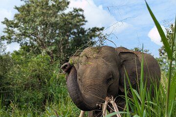 Galoya Eco Park Safari