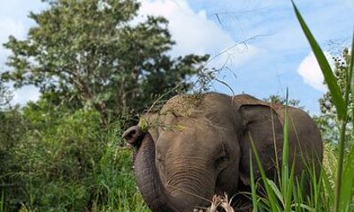 Galoya Eco Park Safari