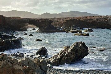 Mini Wellness Retreat in Aruba