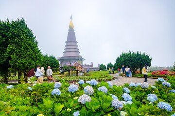 Chiang Mai Doi Inthanon Summit and Pagodas Tour