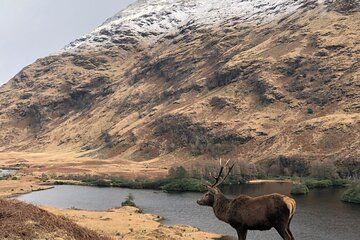 Private Guided Tours of Scotland Bespoke Adventures