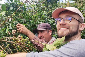 From Seed to Cup a Coffee Plantation Experience