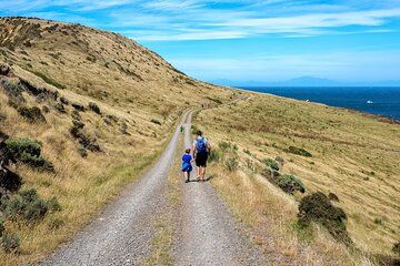 Baring Head Lighthouse Wainuiomata