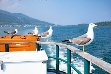 Slow Tour of Coastal Kyoto