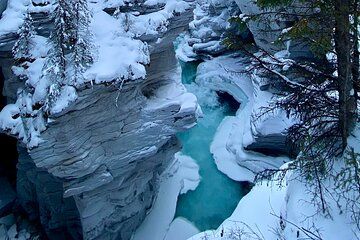 Private Full Day Icefield Parkway Tour