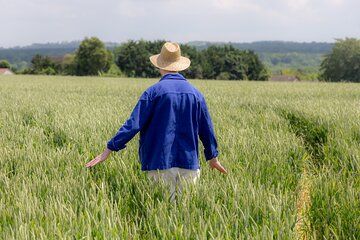Unique Van Gogh immersive tour in Auvers sur Oise - 1.5 hours