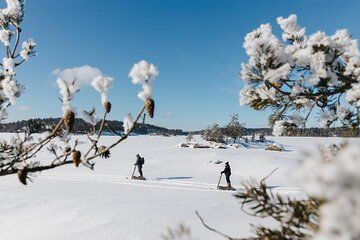 Private Snow Scooter Experience in Saimaa Geopark Finland