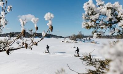 Private Snow Scooter Experience in Saimaa Geopark Finland