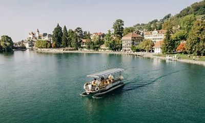 Silently across Lake Thun Private tour with solar ship