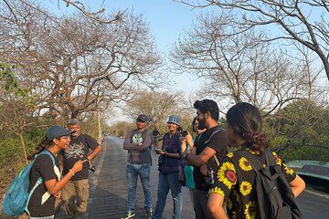 Gorai Mangrove Walking tour in Mumbai