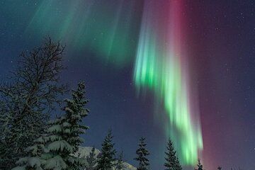 Budget Northern Lights Experience Essential Aurora Chase