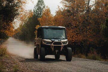 Full-Day UTV Rentals in Island Park, Idaho | 2–6 Seat Options