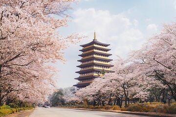 Gyeongju Private UNESCO and Heritage Tour with Local Guide