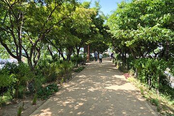 Seoul Riverside Walk and Korean Style Picnic Experience
