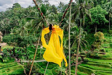 Ubud Private Tour Monkey Forest