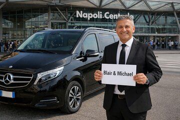 From Naples Private Pompeii Guided Tour and Sorrento Transfer