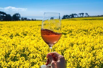 Private Shore Tour: Bellarine Peninsula Wine Experience