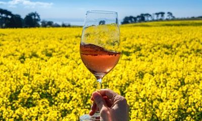 Private Shore Tour: Bellarine Peninsula Wine Experience