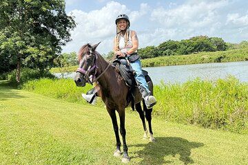 One Hour San Juan Fields Horseback Riding Adventure