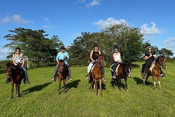 2-Hour San Juan Fields Horseback Riding Adventure
