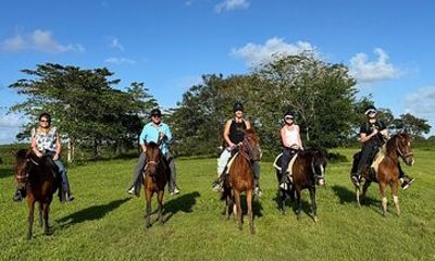 2-Hour San Juan Fields Horseback Riding Adventure