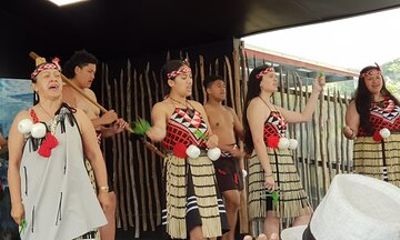 From Hamilton: The Living Maori Village, Haka Dance & Blue Spring