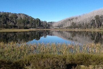 Experience Mt Buffalo Hikes Waterfalls and Scenic Views