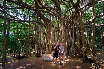 Full-Day Active Private Photo & Adventure Tour in Okinawa